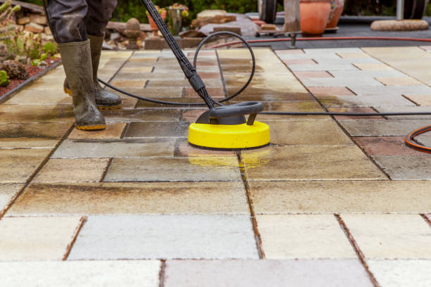 Animal Enclosure Cleaning in Wellington, KS